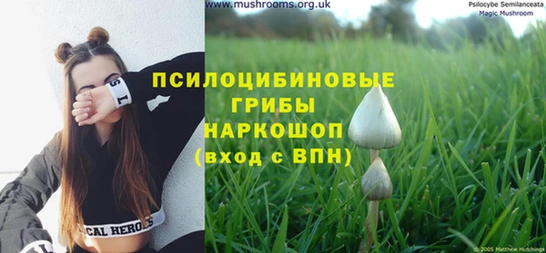 ПСИЛОЦИБИНОВЫЕ ГРИБЫ Алексеевка