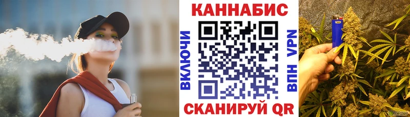 Бошки Шишки план  ОМГ ОМГ ссылка  Кашин 